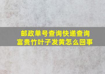 邮政单号查询快递查询富贵竹叶子发黄怎么回事