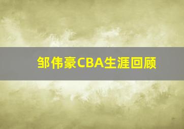 邹伟豪CBA生涯回顾