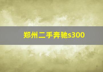 郑州二手奔驰s300