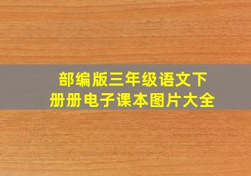 部编版三年级语文下册册电子课本图片大全