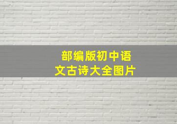 部编版初中语文古诗大全图片