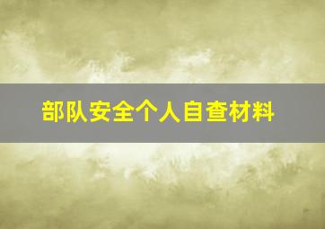 部队安全个人自查材料