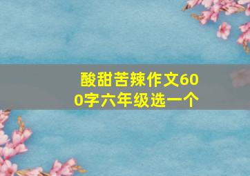 酸甜苦辣作文600字六年级选一个