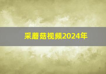 采蘑菇视频2024年