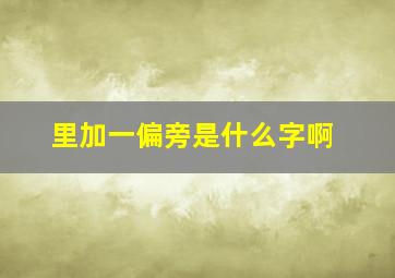 里加一偏旁是什么字啊