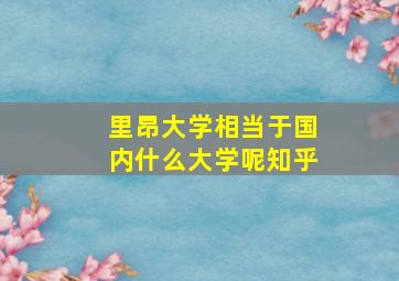 里昂大学相当于国内什么大学呢知乎