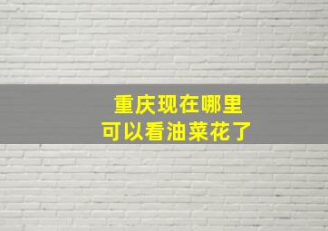 重庆现在哪里可以看油菜花了