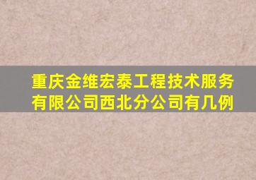 重庆金维宏泰工程技术服务有限公司西北分公司有几例