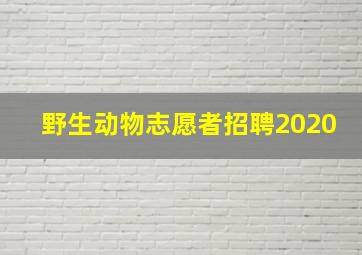 野生动物志愿者招聘2020