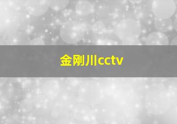 金刚川cctv