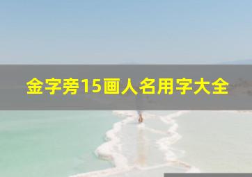 金字旁15画人名用字大全