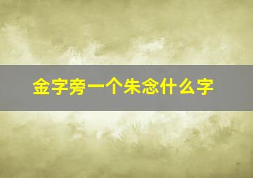 金字旁一个朱念什么字