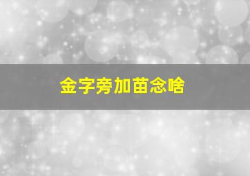 金字旁加苗念啥