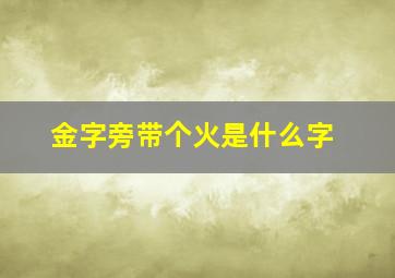 金字旁带个火是什么字