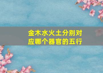 金木水火土分别对应哪个器官的五行