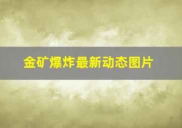 金矿爆炸最新动态图片