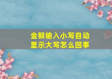 金额输入小写自动显示大写怎么回事