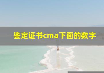 鉴定证书cma下面的数字