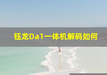 钰龙Da1一体机解码如何