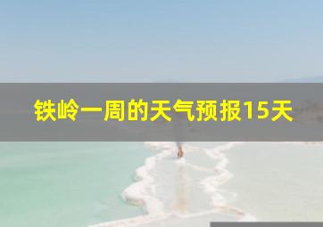 铁岭一周的天气预报15天