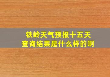 铁岭天气预报十五天查询结果是什么样的啊