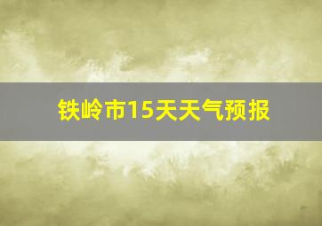 铁岭市15天天气预报