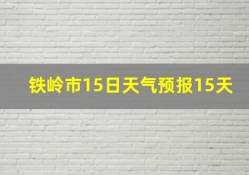 铁岭市15日天气预报15天