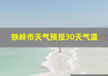 铁岭市天气预报30天气温