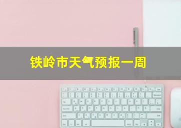 铁岭市天气预报一周