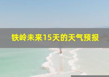 铁岭未来15天的天气预报