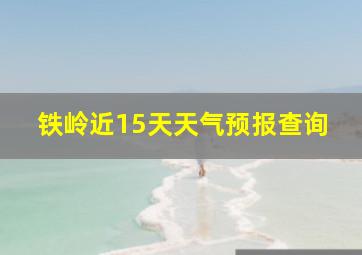 铁岭近15天天气预报查询