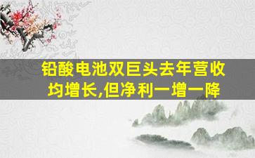 铅酸电池双巨头去年营收均增长,但净利一增一降