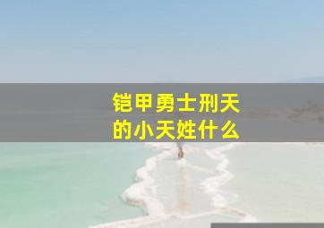 铠甲勇士刑天的小天姓什么