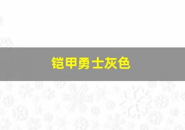 铠甲勇士灰色