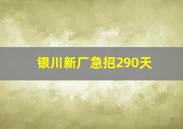 银川新厂急招290天