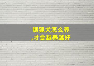 银狐犬怎么养,才会越养越好