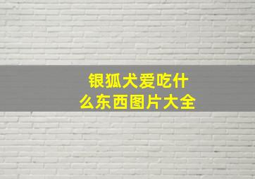 银狐犬爱吃什么东西图片大全