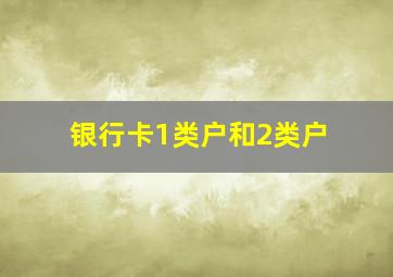 银行卡1类户和2类户