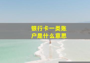 银行卡一类账户是什么意思