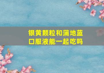 银黄颗粒和蒲地蓝口服液能一起吃吗