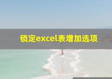 锁定excel表增加选项