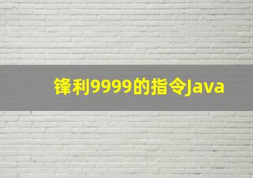 锋利9999的指令Java