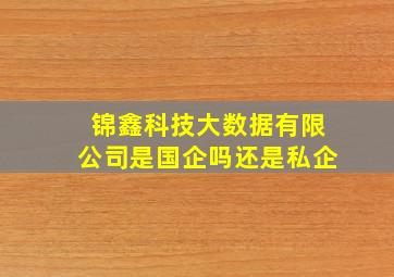 锦鑫科技大数据有限公司是国企吗还是私企