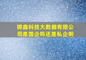 锦鑫科技大数据有限公司是国企吗还是私企啊