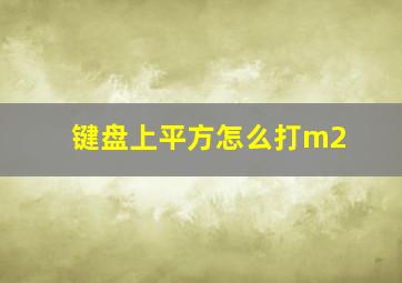 键盘上平方怎么打m2