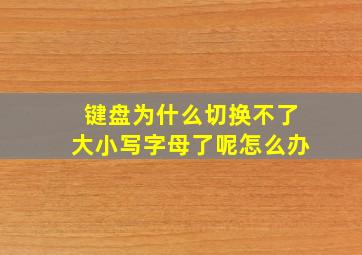 键盘为什么切换不了大小写字母了呢怎么办