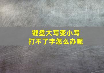 键盘大写变小写打不了字怎么办呢