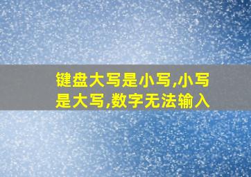 键盘大写是小写,小写是大写,数字无法输入