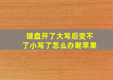 键盘开了大写后变不了小写了怎么办呢苹果