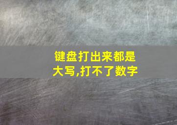 键盘打出来都是大写,打不了数字